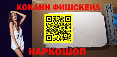 мдпв Камышлов