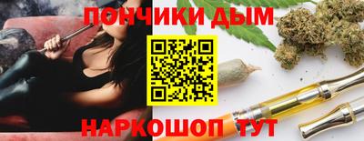мдпв Камышлов