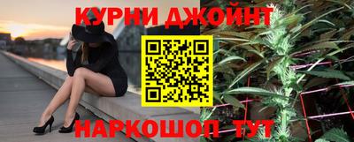 мдпв Камышлов