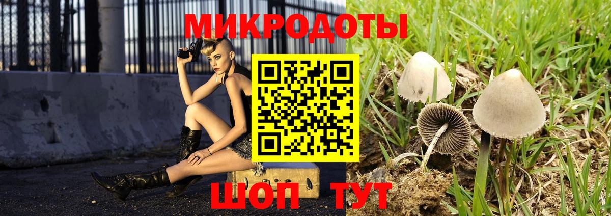 Лесозаводск  Псилоцибиновые грибы мухоморы  купить наркоту  Вход с VPN 
